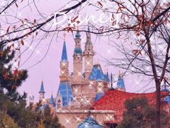 -上海迪士尼度假区