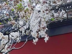 -钱王祠
