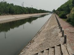 -大港湿地公园