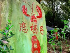 -恋拐子油爆虾·家常菜