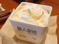-野人牧坊Gelato(天津南开大悦城店)
