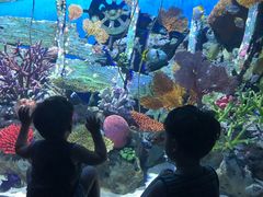 -暹罗海洋世界