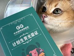 -中农国际动物医院24小时·猫科·骨科·急重症中心
