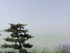 -巢湖姥山岛