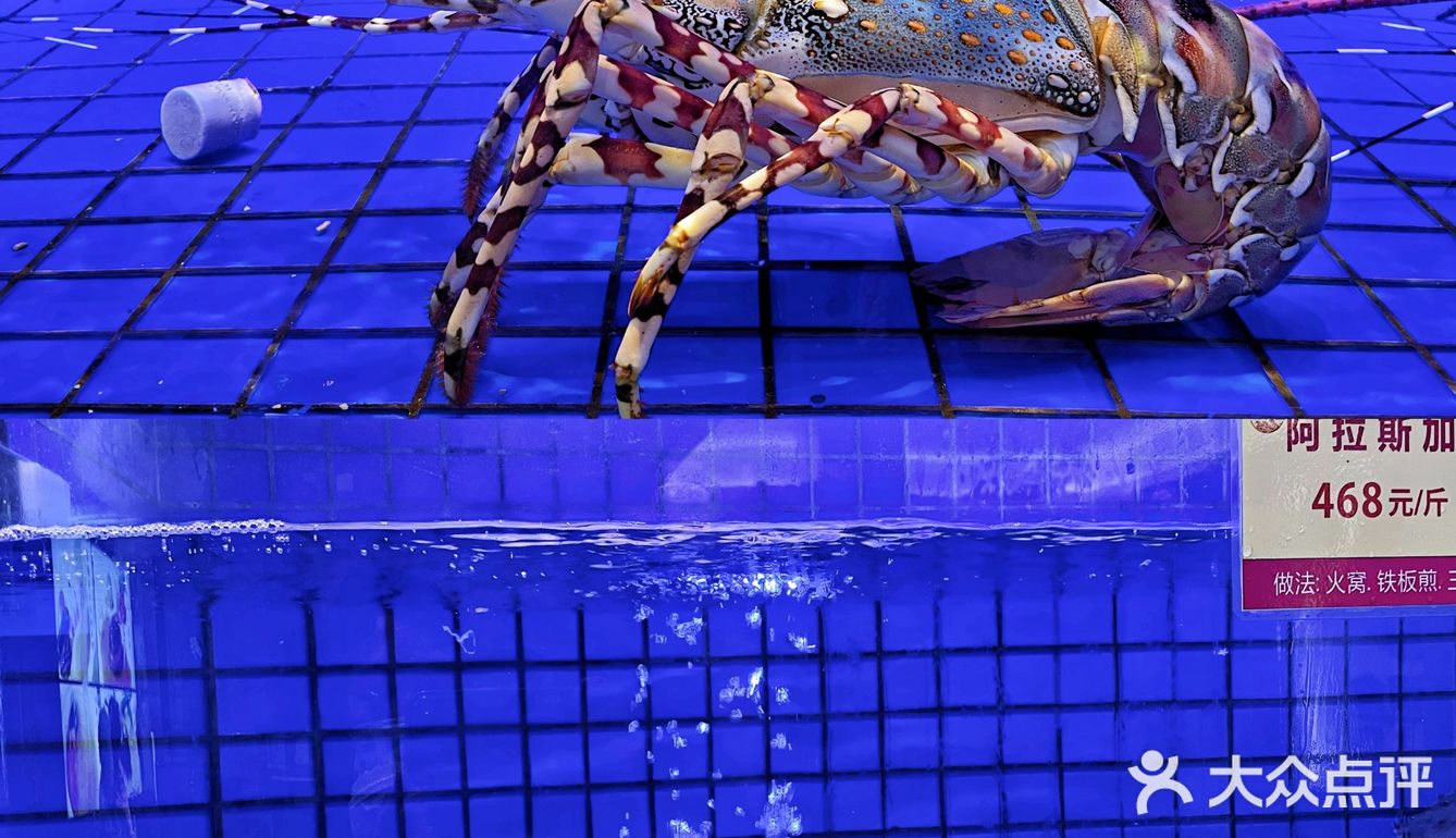珠海美食｜新鲜高级海鲜火锅🦞新年聚餐首选‼️