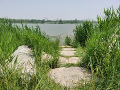 -水西公园