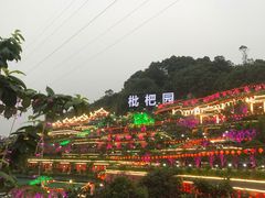 -枇杷园食为鲜火锅(南山店)
