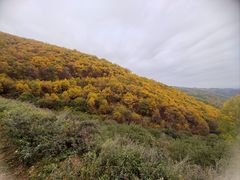 -云顶山风景区