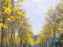 -广州珠江公园