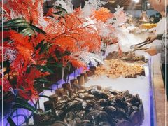 -比尔森啤酒自助烤肉(红旗街店)
