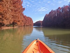 -上海海湾国家森林公园