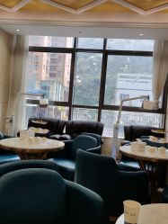 -碧莲盛·不剃发植发