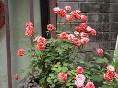 -毛泽东同志旧居