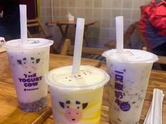 -一只酸奶牛(春熙路店)