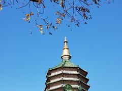 -八大处公园