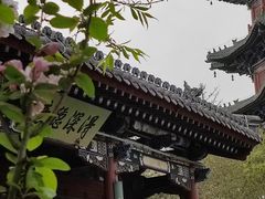 -迎泽公园
