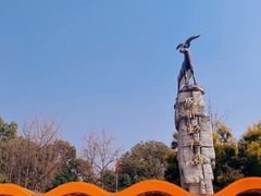-成都动物园