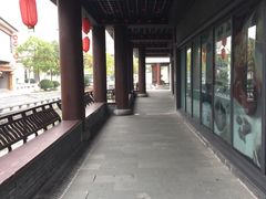 -溱湖国家湿地公园