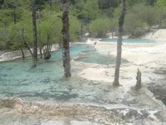 -黄龙山原始森林景区