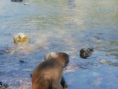 -白河湾生态旅游一条川
