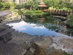 -昆明洲际酒店