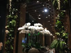 大堂-若蘭慈·无国界素食料理(欢乐海岸店)