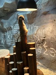 -Zoolung Zoolung动物主题公园(海信广场店)