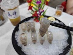 瀨尿蝦刺身-嘉升大排档(番禺总店)