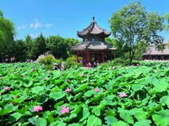 -莲池书院博物馆