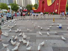 -合肥融创乐园