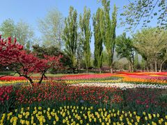 -国家植物园南园