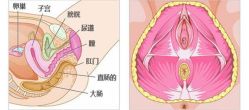 -邢台妇产医院