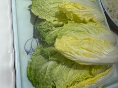 -脆鱼家·中山脆肉鲩鱼火锅(石龙仔店)