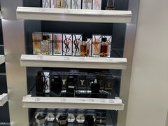 -谢列梅捷沃国际机场