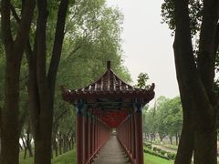 -洪湖生态旅游区