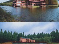 -黄海国家森林公园