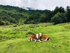 -硗碛藏寨·神木垒景区