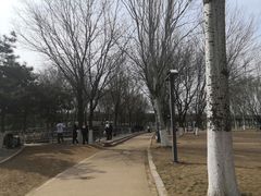 -长白岛森林公园