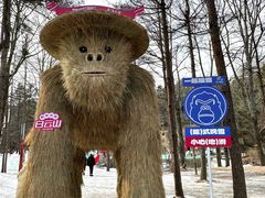 -洛阳白云山景区