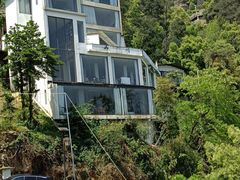 -南山植物园