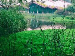 -西湖风景区-江洋畈生态公园