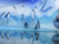 -洛阳龙门海洋馆