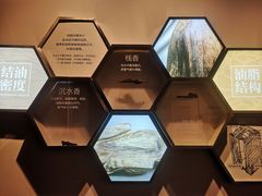 -中国沉香文化博物馆
