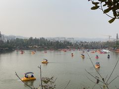 -枫香湖儿童公园