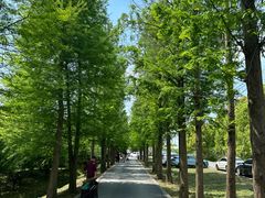 -广富林郊野公园