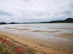 -鹤之洲湿地公园