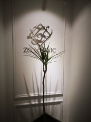 -紫御国际抗衰ZOE ANTI AGING