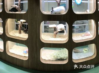 地方不是太好找，踩着时间4点准时到达，里面地方不大但
