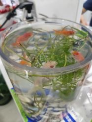 -芙贝佳禾·痘肌管理中心