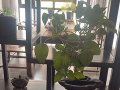 -苏溪亭足疗·洗浴·SPA